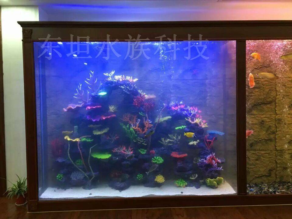 荔湾观赏鱼缸定做公司,荔湾鱼缸图片,广州观赏鱼缸