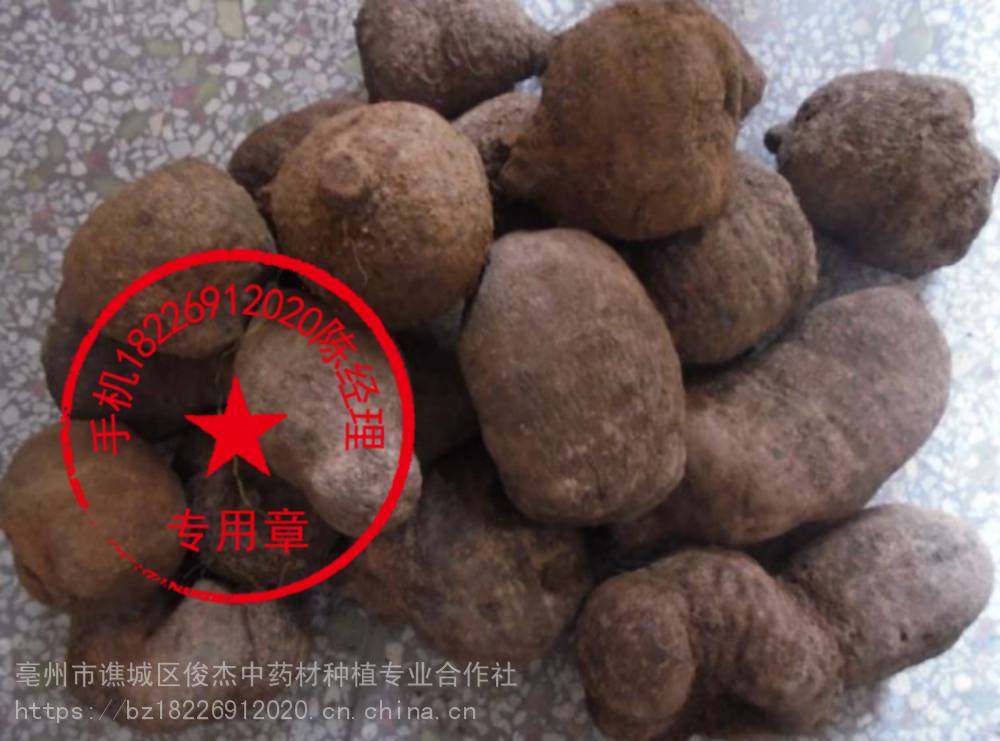 功效   上一个 下一个>  别名赭魁(《别录》),朱砂莲,鸡血莲,血母