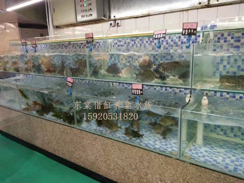 佛山中山公园海鲜鱼池马赛克包边，哪里定做两层海鲜鱼池