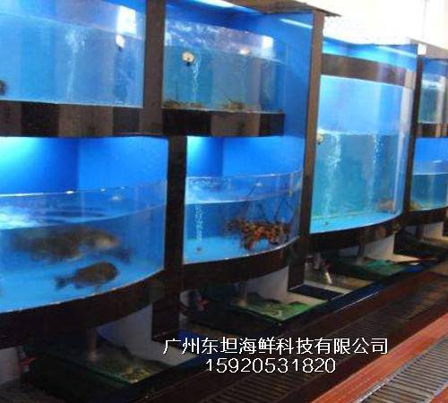 广州万项沙海鲜池厂家-广东海鲜池定做公司-广州土建海鲜鱼池做防水