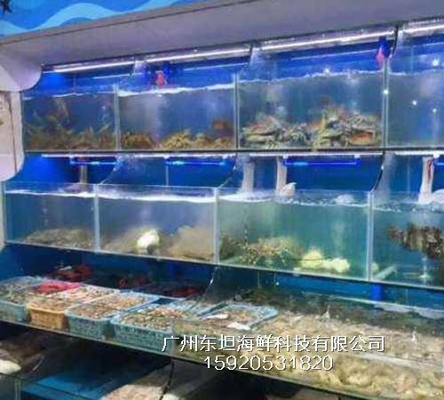 花都赤泥海鲜鱼池图片-广东海鲜池定做公司-广州生猛海鲜鱼池