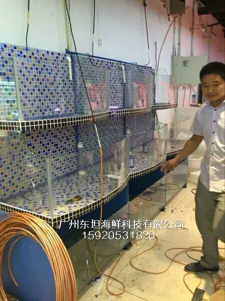 广州龙溪海鲜池效果图-海鲜池过滤-广州生猛海鲜鱼池
