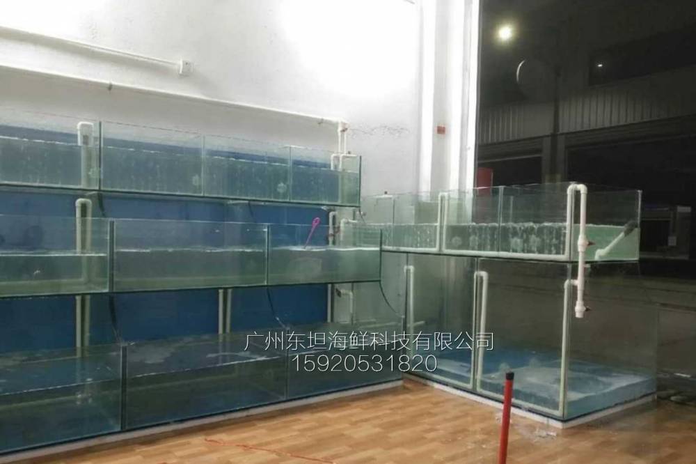 广州猎德海鲜鱼池尺寸-海鲜池摆放-广州三层海鲜玻璃鱼池