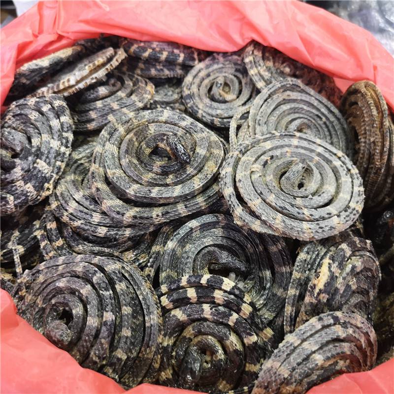 金钱白花蛇,金钱蛇,银环蛇,五步蛇区别 动物药材批发经营
