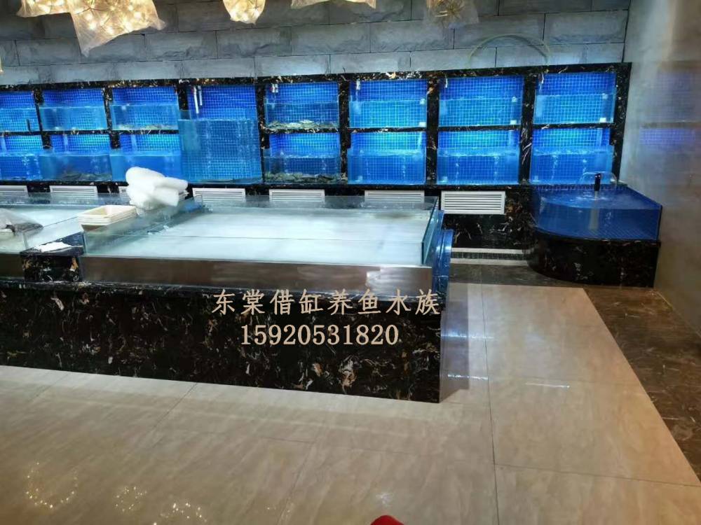 佛山丹灶海鲜池设备，哪里定做海鲜鱼池一体缸