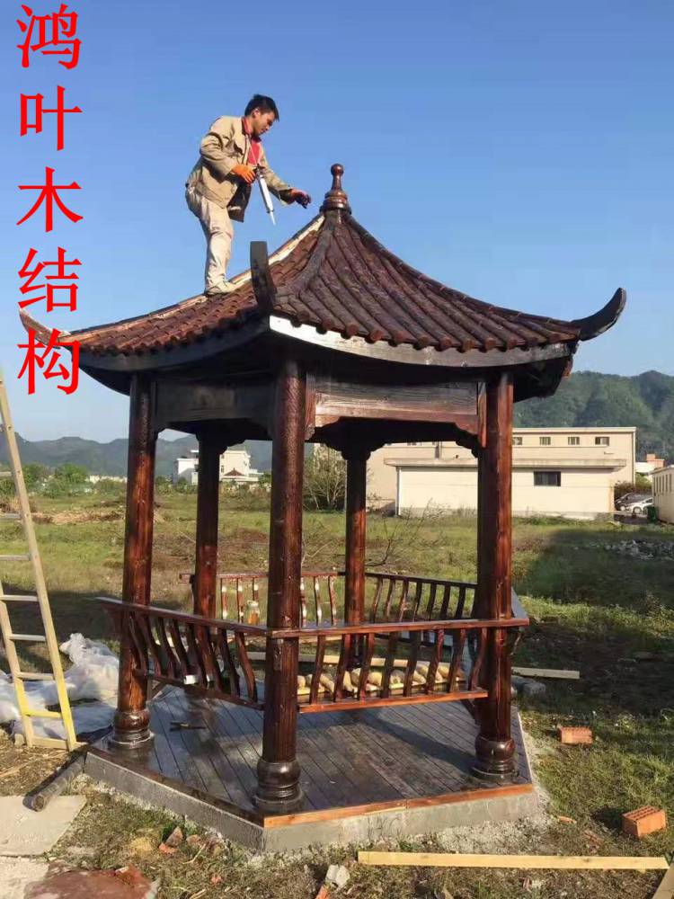 八角亭,双层重檐亭,泉森景观凉亭,休闲凉亭,私家花园凉亭,屋顶凉亭