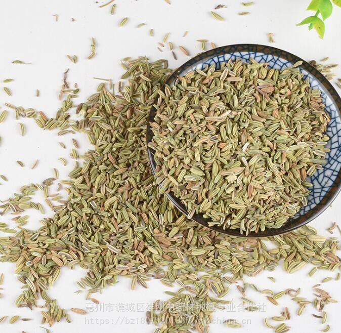 小茴香的功效 小茴香批发价格