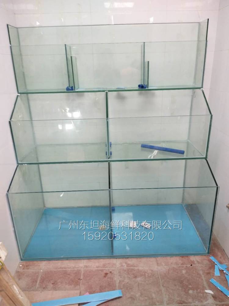 广州车陂海鲜池设备-塑料海鲜池-广州生猛海鲜鱼池