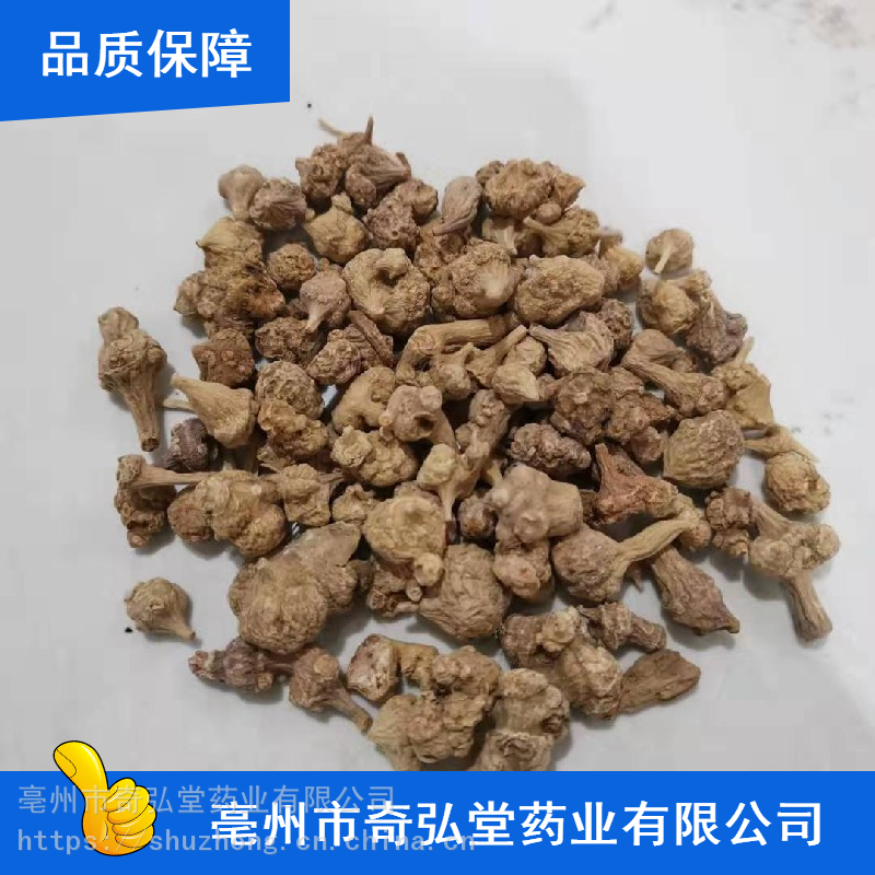 奇弘堂药用疙瘩七_豪州市中药材疙瘩七_干货疙瘩七产地
