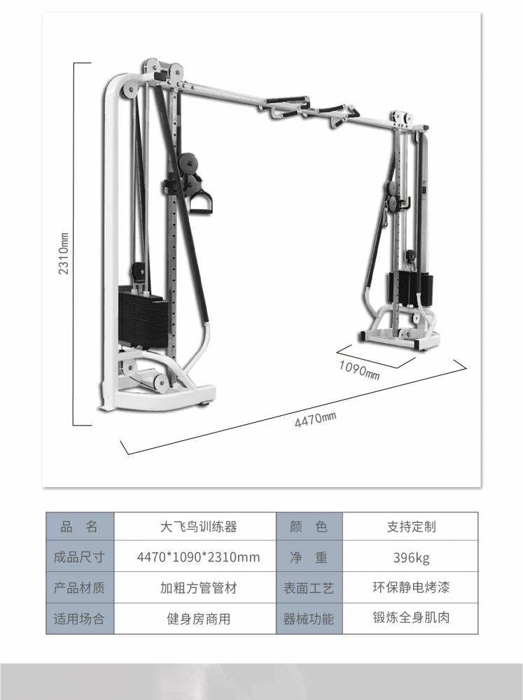 力之星健身房商用必确系列 龙门架 大飞鸟训练器lzx-1012