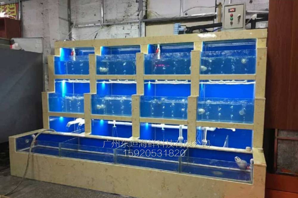 广州珠江新城海鲜池设计-pvc板制作海鲜池-广州梯形海鲜池定做