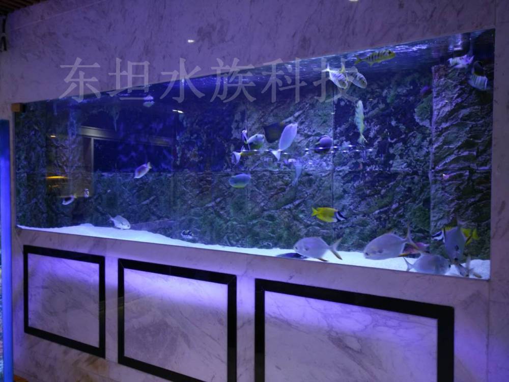 公司首页 最新供应 南沙热弯鱼缸出租价格,南沙鱼缸模板,广州热弯鱼缸