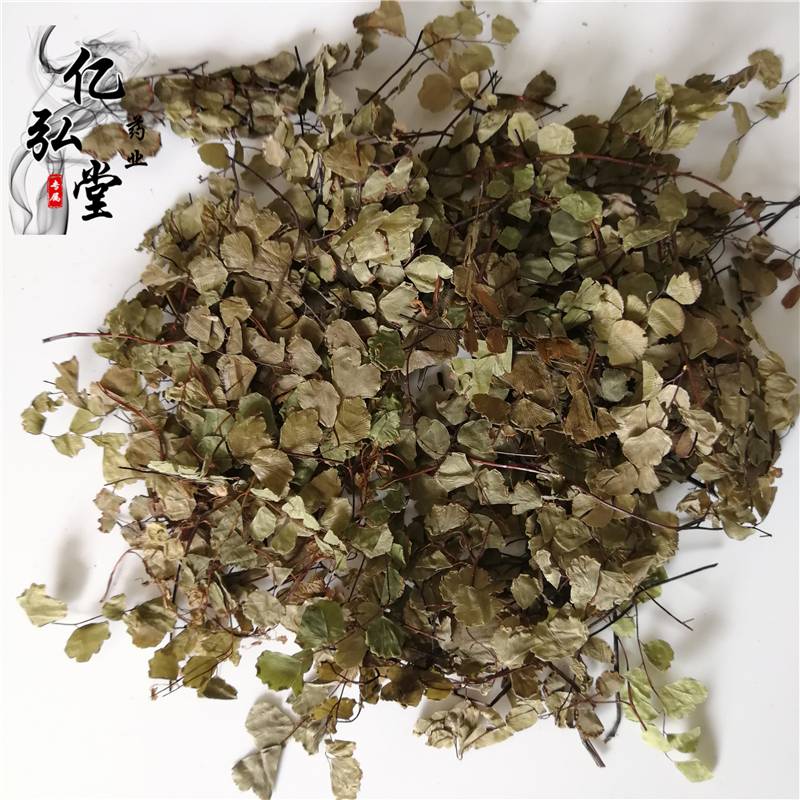 中药材石长生用法用量/石中珠功能主治/岩浮萍药用价值