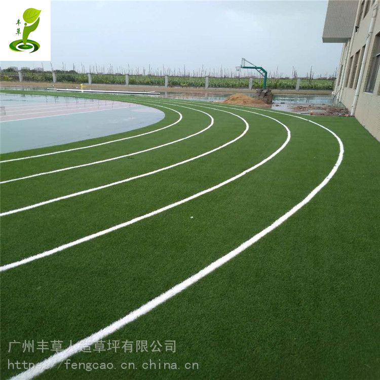 学校操场运动跑道红绿色人造草坪2.5公分pe材质跑道塑料地毯草