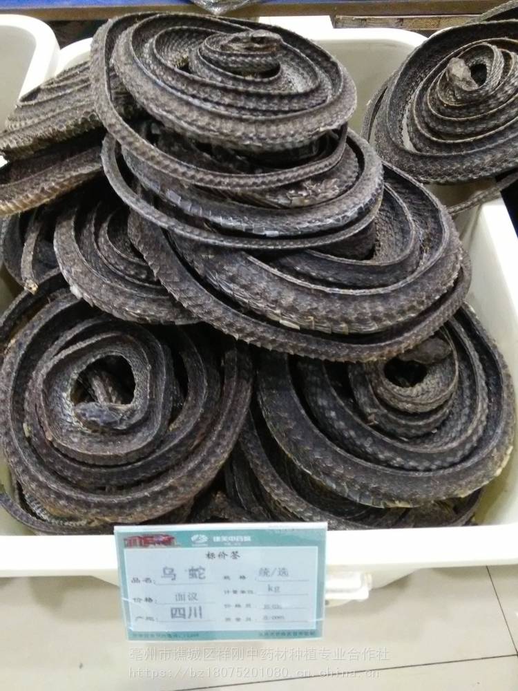 乌梢蛇的功效和作用 亳州市谯城区祥刚中药材种植专业合作社