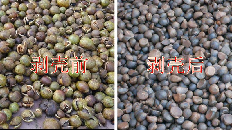 今日报价   上一个 下一个>         茶籽剥壳机结构简单,使用可靠
