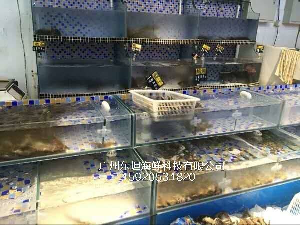 广州黄沙海鲜池设计制作-塑料海鲜池-广州大排档海鲜鱼池
