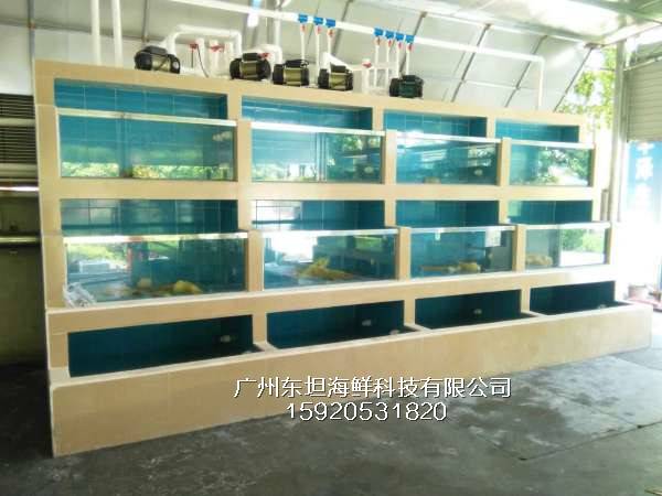 荔湾白鹤洞海鲜鱼池制作费用-土建海鲜池-广州海鲜烧烤店定做鱼池