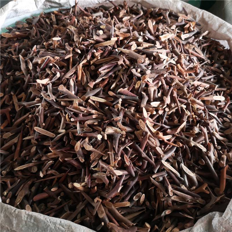 中药材皂刺药用价值 皂角刺用法用量