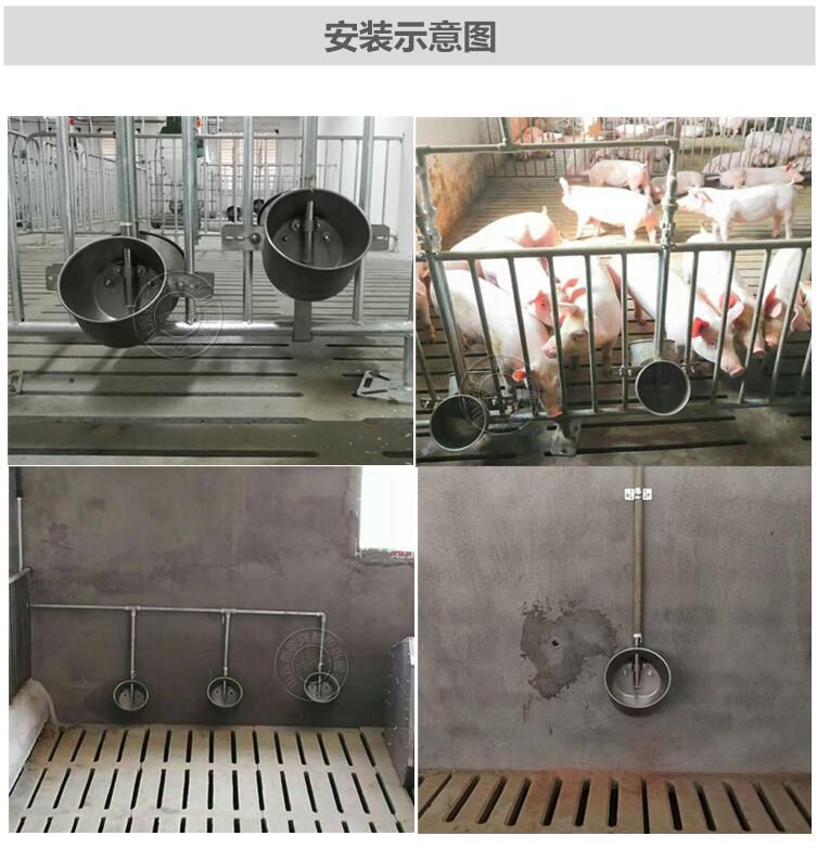 猪饮水碗厂家包邮不锈钢圆形水碗猪用环保水碗小猪饮水器