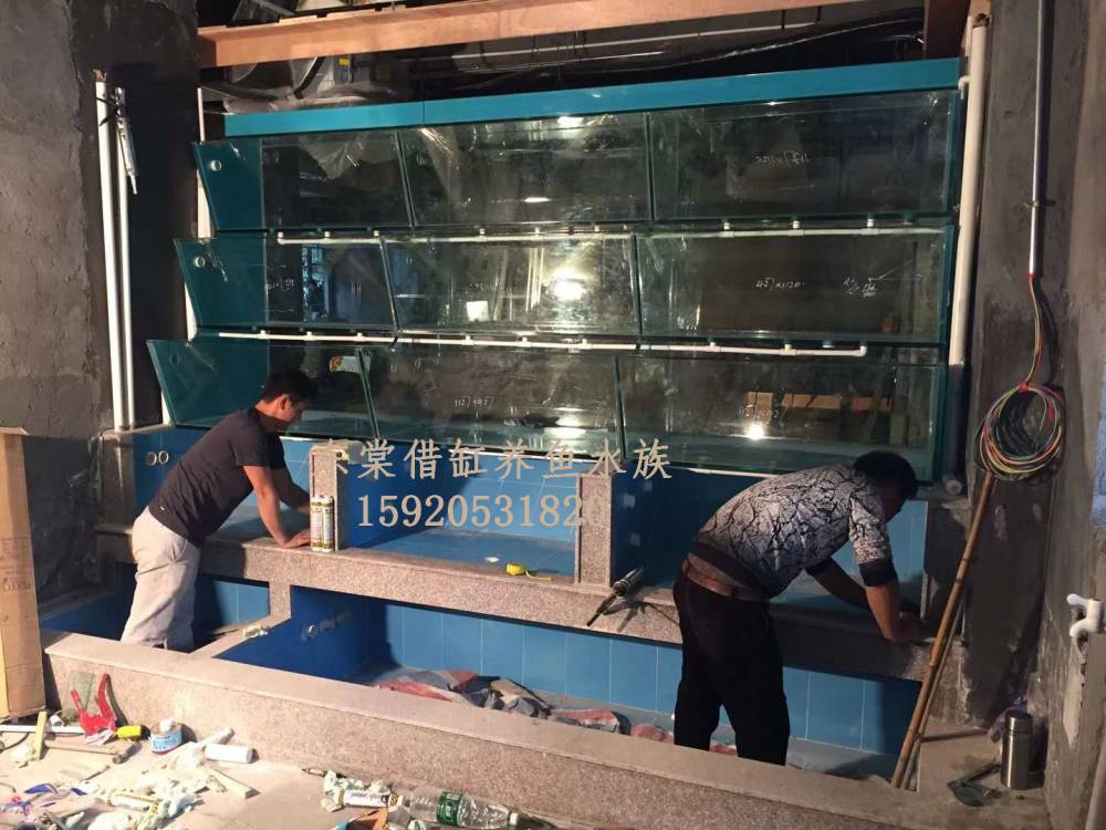 南海海鲜池制冷工程，哪里定做制冷海鲜鱼缸