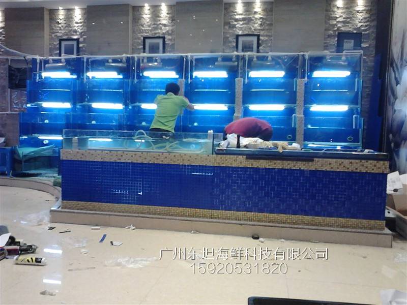 广州南石头海鲜池制作-海鲜缸增氧-广州生猛海鲜鱼池