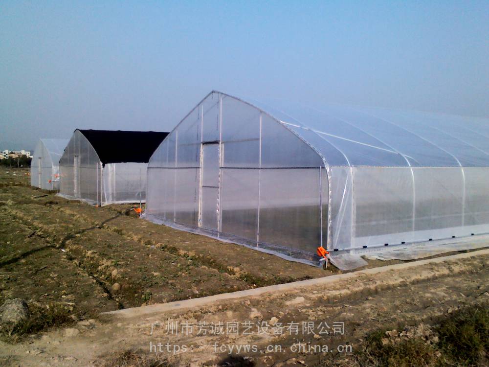 新型单体大棚 单体塑料大棚安装公司 阳江单体插地大棚