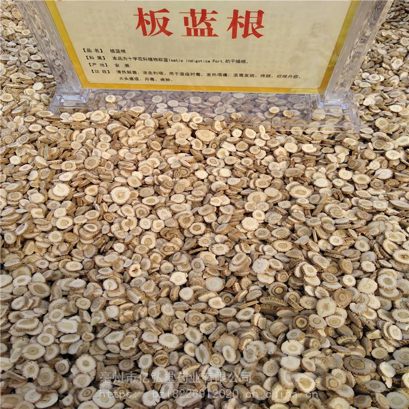 中药白鲜皮价格 野生白鲜皮批发 白鲜皮中药齐全