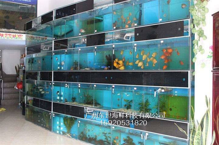 花都海鲜池厂家-海鲜鱼池养殖-广州大排档海鲜鱼池