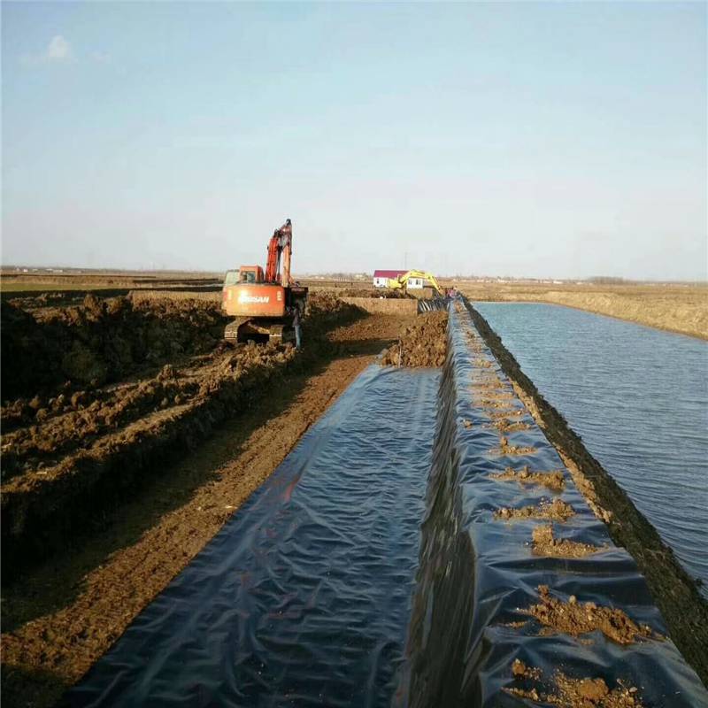 防水土工膜卷长 污水池土工膜阻根防渗 润业土工