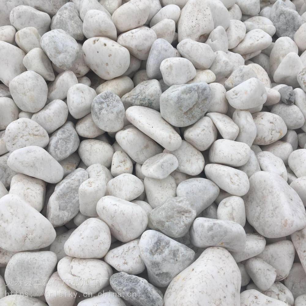 大量供应鹅卵石 园艺用白色鹅卵石 盆栽石头多肉铺面大小卵石