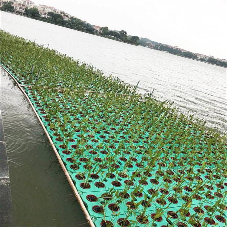 浮动湿地水生植物种植浮岛人工浮岛生态浮床