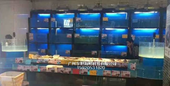 广州宝岗海鲜池制冷机-海鲜鱼池防漏水-广州海鲜酒家鱼池设计