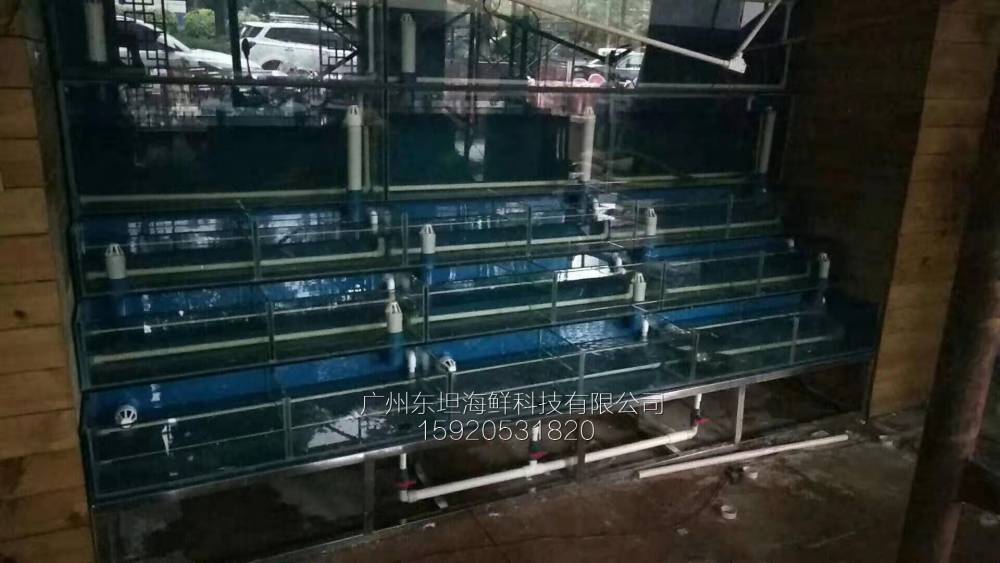 番禺石楼海鲜池设计制作-土建海鲜池-广州农庄土建鱼池