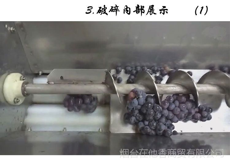 帝伯仕葡萄除梗破碎机304不锈钢电动螺杆泵商用工厂酿酒设备