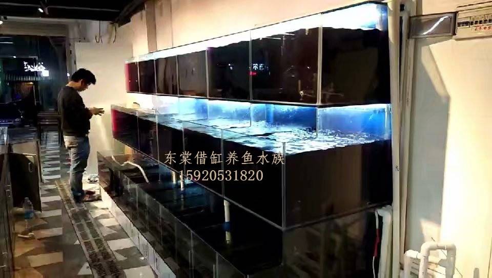佛山丹灶海鲜池设备，哪里定做酒楼海鲜池