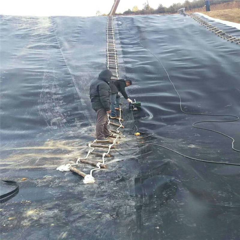 黑色土工膜GH-2S型_水渠土工膜的阻根防渗_润业土工