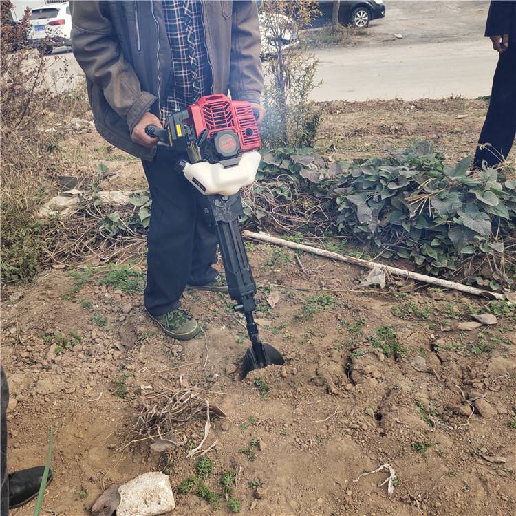 乐农牌便携式苗木起树机 树苗移植挖树机厂家