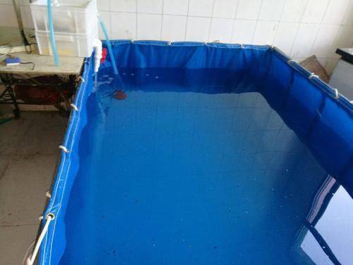 橡塑 塑料篷布 农用篷布 养锦鲤鱼池 捕鱼用大水袋定制 阳台做个小