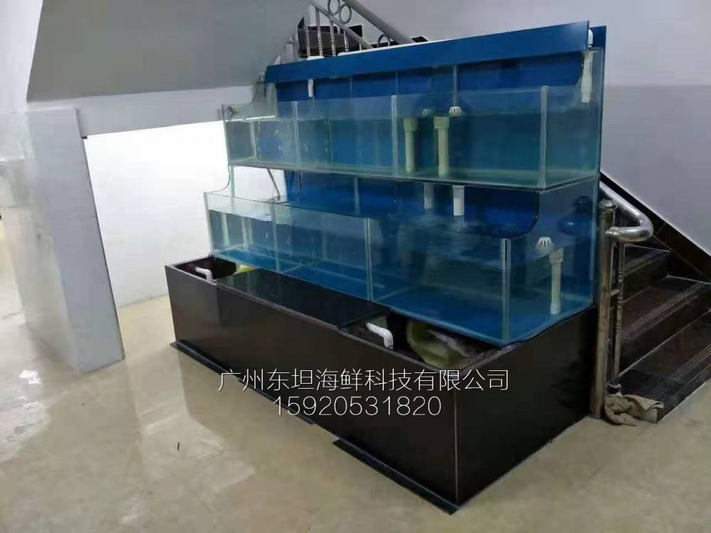 广州元岗海鲜鱼池制作-海鲜鱼池养殖-广州农庄土建鱼池