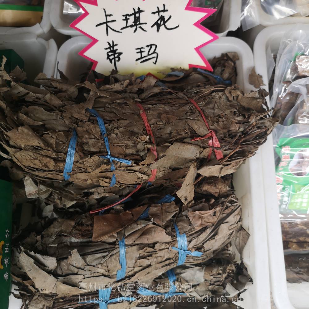 为马来西亚国宝级植物.