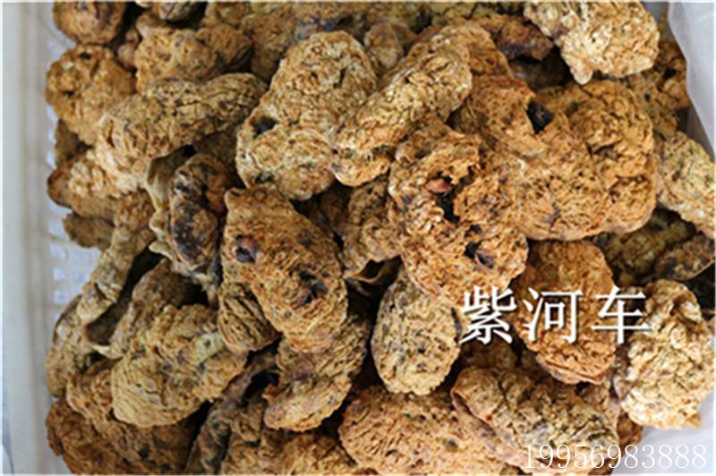 紫河车批发零售价格