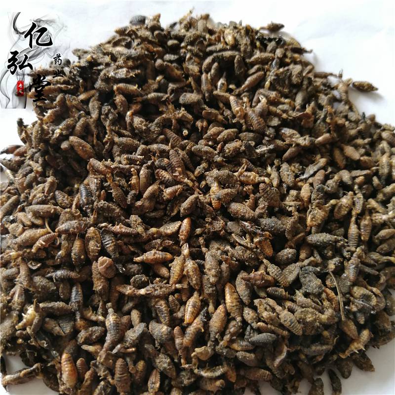 中药材金沙牛 金沙牛功效