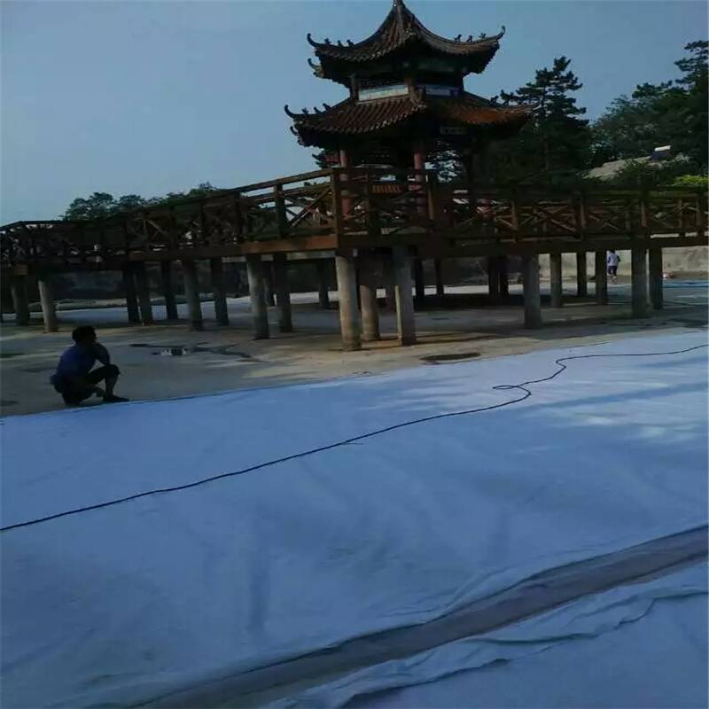 四川水渠0.6mm复合土工膜价格