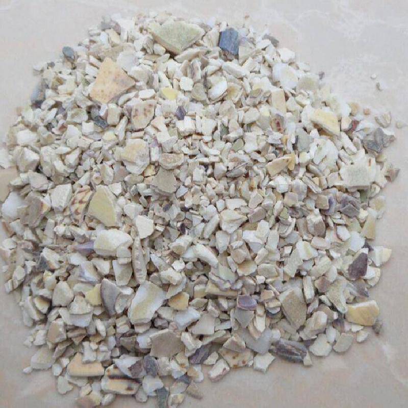 中药材海蛤壳功效作用海蛤蛤壳哪里可以购买到多少钱一公斤