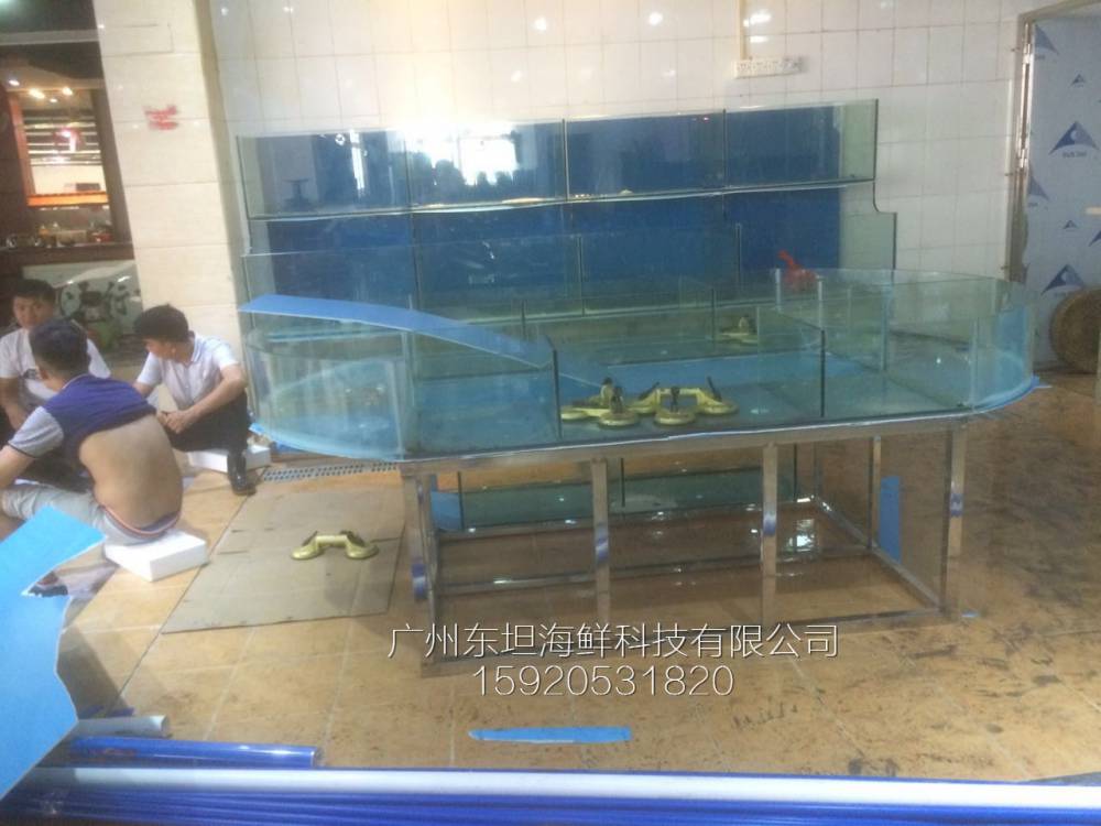 广州大新海鲜池效果图-海鲜池循环水-广州餐厅海鲜观赏鱼池