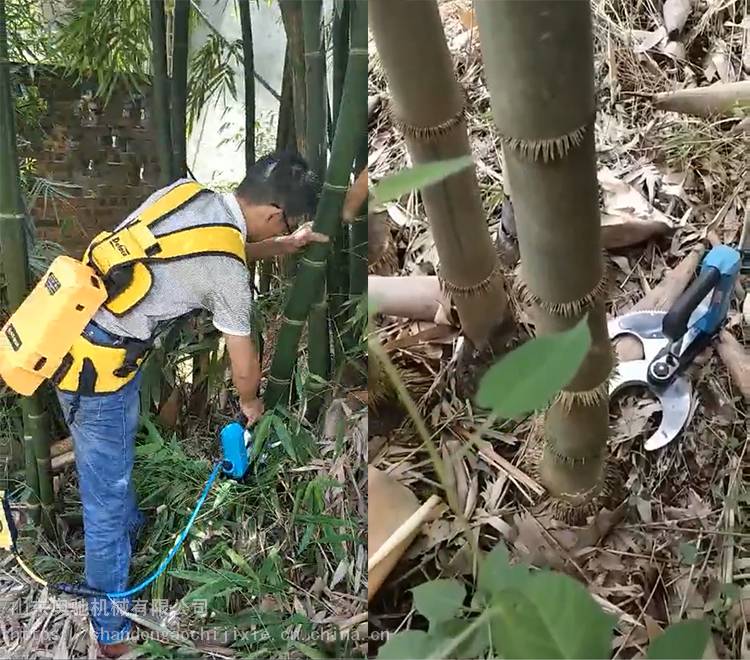 山东奥驰伐竹剪背负式锂电池电动伐竹剪四川贵州地区伐竹机