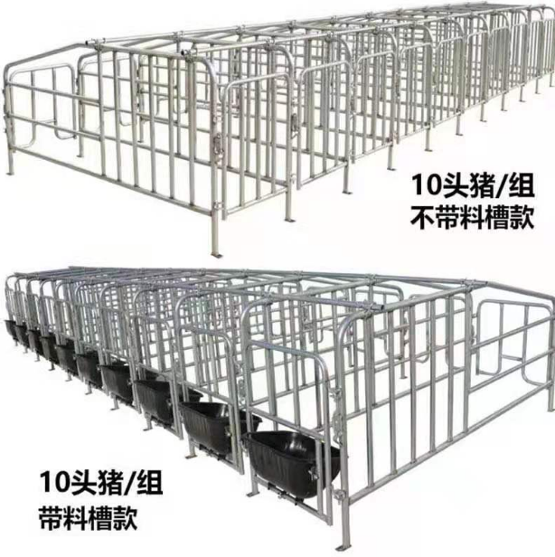 河北厂家供应母猪定位栏 复合板母猪定位栏 育肥猪用围栏 厂家直销质