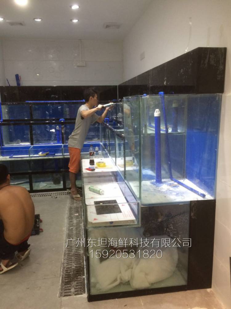 广州江南西海鲜鱼池尺寸-pvc板制作海鲜池-广州不锈钢海鲜池