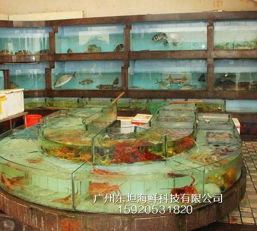 海珠客村海鲜鱼池制冷维修-海鲜塑料池箱-广州农庄土建鱼池